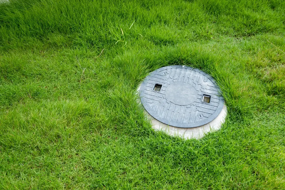 signs of septic system failure​